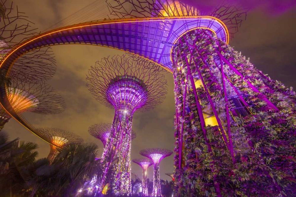Singapore Garden by the Sea towers at night